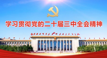 学习贯彻党的二十届三中全会精神