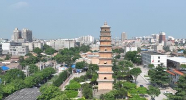 让特色产业“更硬核”——蒲城县政协委员助力特色产业发展