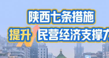 陕西省七条措施提升民营经济支撑力